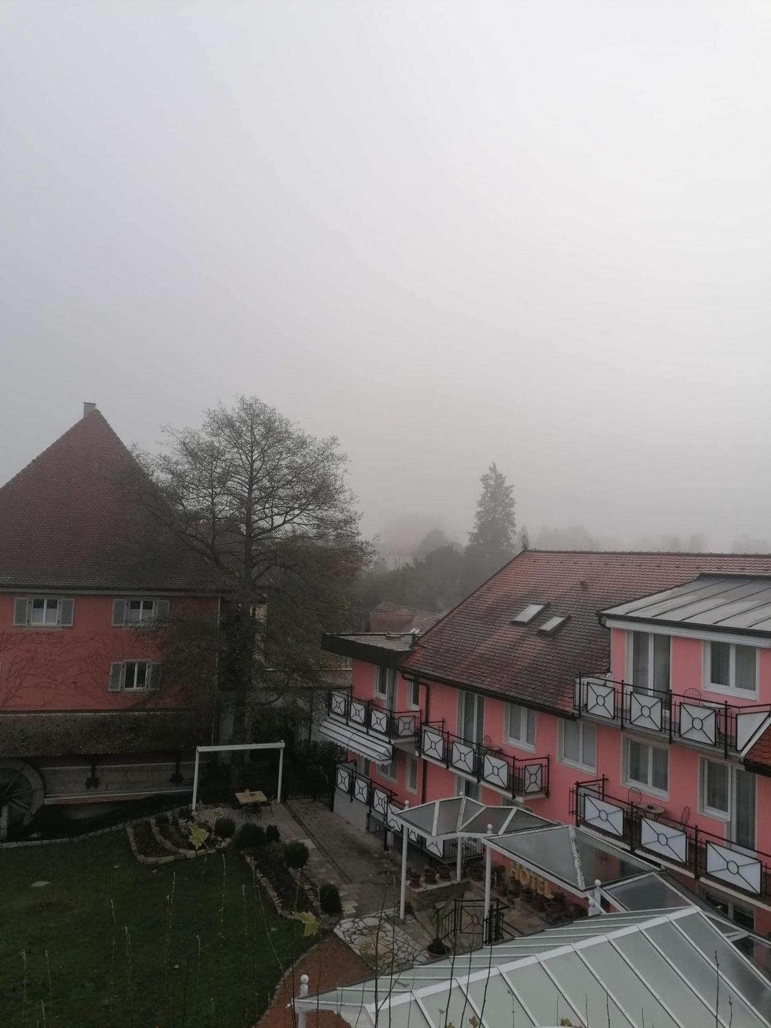Hotel Hofmann Zur Muehle Bad Krozingen Ngoại thất bức ảnh