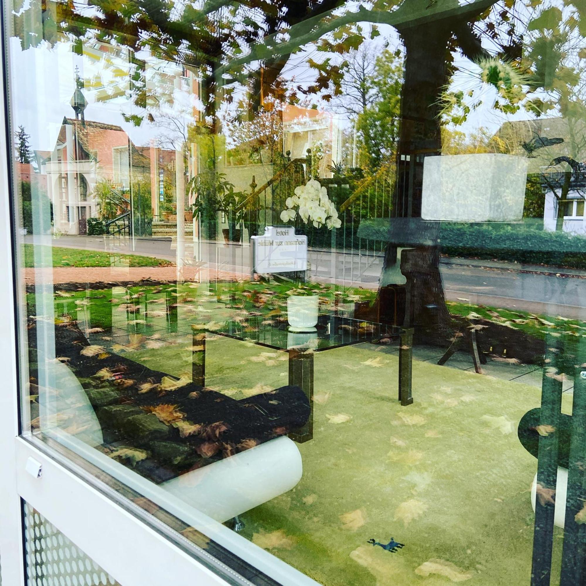 Hotel Hofmann Zur Muehle Bad Krozingen Ngoại thất bức ảnh